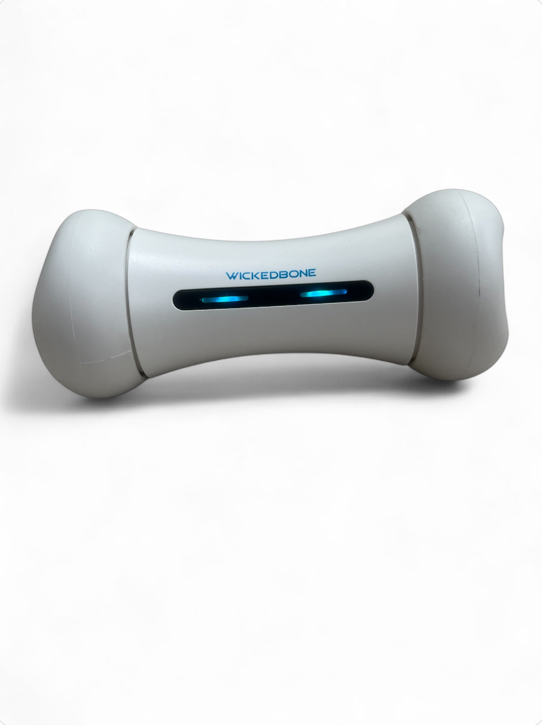 Wickedbone interactive pet toy